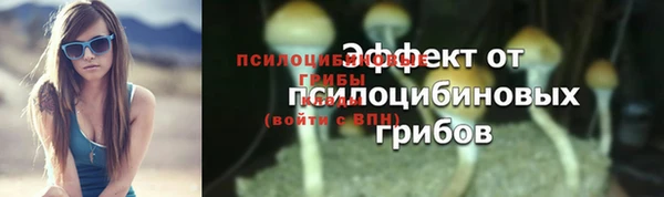 мдма Медвежьегорск