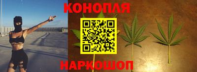 ГАЛЛЮЦИНОГЕННЫЕ ГРИБЫ Берёзовский