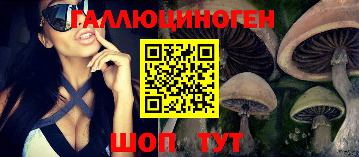 Галлюциногенные грибы MAGIC MUSHROOMS  где найти   Благодарный 