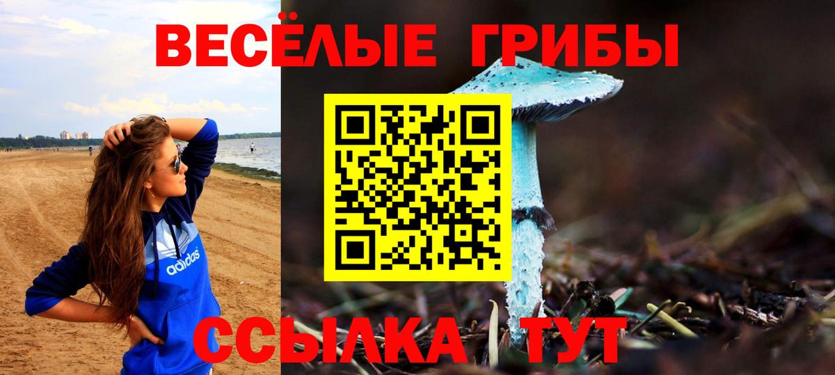 Благодарный  дарнет шоп  Вход с VPN  Псилоцибиновые грибы мицелий 