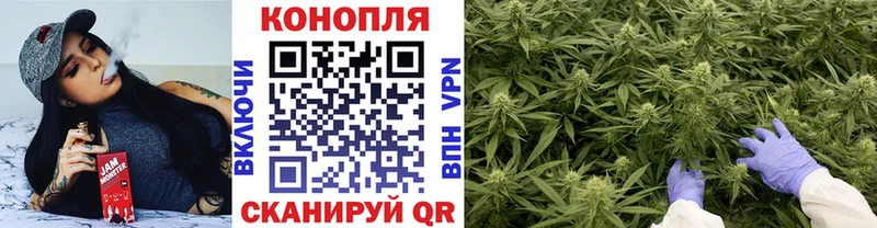 Бошки марихуана Amnesia  MEGA онион  Благодарный 