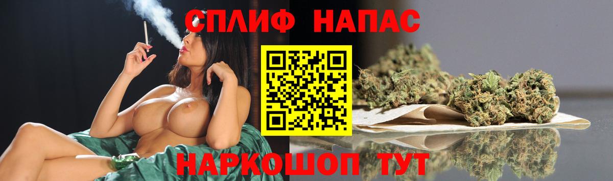Бошки марихуана план  Канабис сатива  Шишки марихуана Bruce Banner  Благодарный  Вход с VPN 